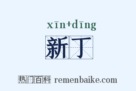 新丁是什么意思的图片